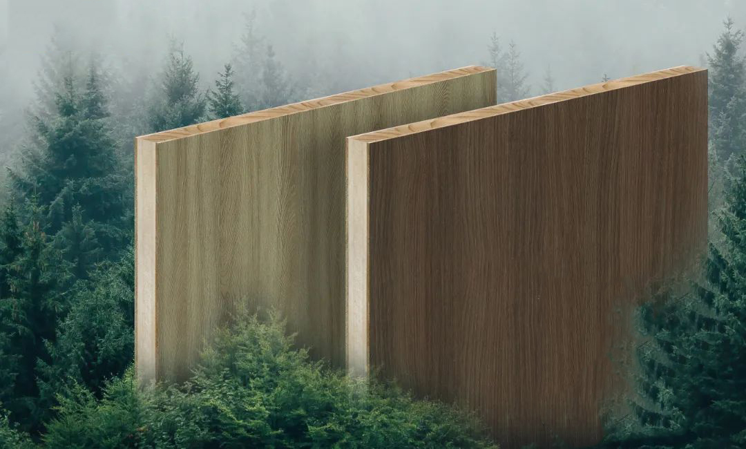 /news/n1/2025-05-08/85.html